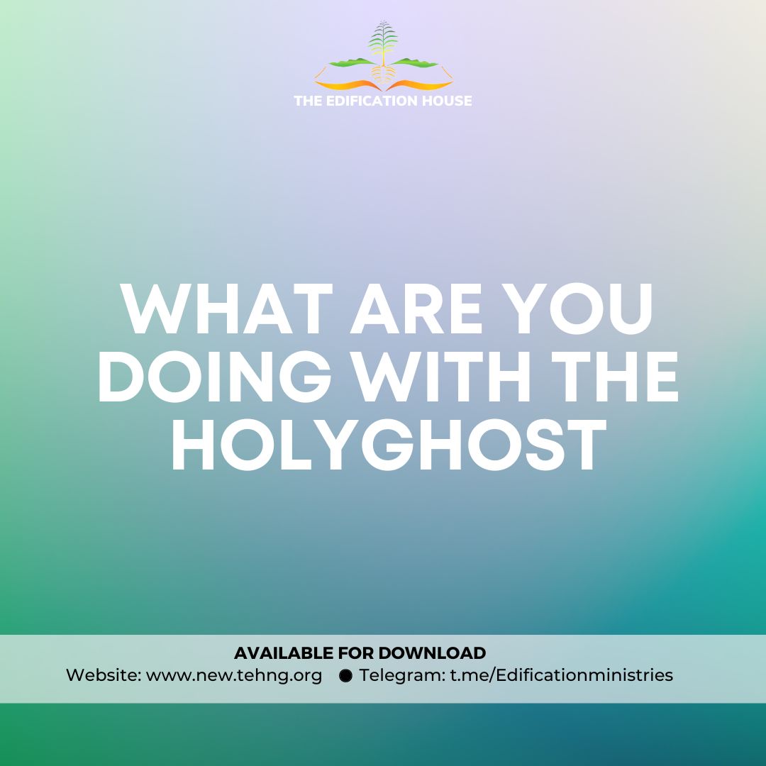 what-are-you-doing-with-the-holyghost-teh